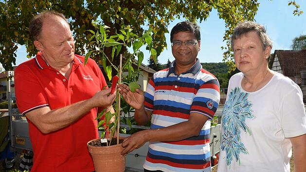 Alexander H&ouml;fling, Pater Raja und die neugew&auml;hlten Vorsitzende des Unterst&uuml;tzungsvereins Vanakkam Cuddalore, Evelyn W&ouml;lfel, zeigen von welcher Pflanze die scharfen Chilis kommen. Peter Rauch