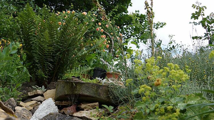 m Garten der Familie Vierheilig