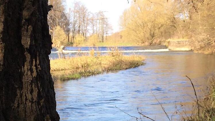 Hier wurden Ende März am Main in Michelau Fische von der künftigen Betreibergesellschaft des Ökostromwerks eingesetzt. Foto: Wertschmied-Group