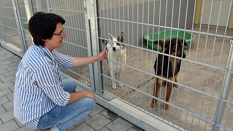 Das Tierheim des Landkreises Haßberge ist ab Dienstag, 15. Mai, geöffnet. Derzeit sind dort jedoch nur wenige Tiere untergebracht. Unser Bild zeigt die zweite Vorsitzende der Tierschutzinitiative Haßberge, Karin Kraus.