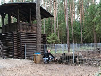 Erlangen: Beliebtes Tiergehege in N&uuml;rnberger Reichswald verwaist - "Enkel hat bitterlich geweint"