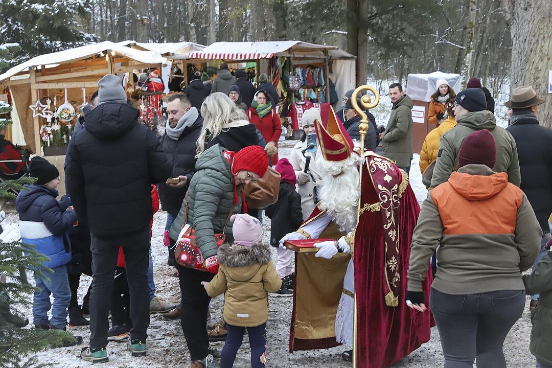 Über 100 Aussteller waren vor Ort.