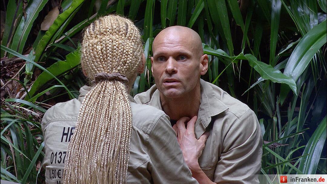 Ich bin ein Star _ Holt mich hier raus!