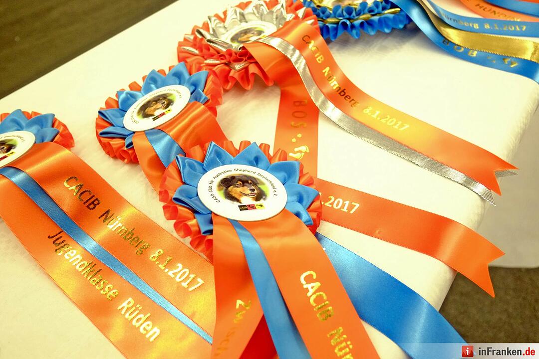 43. Internationale Rassehundeausstellung (Cacib) in Nürnberg