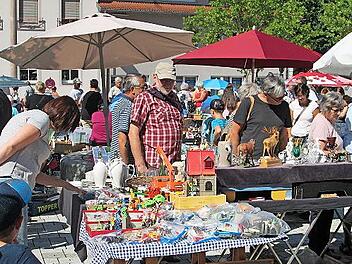 Nach Schn&auml;ppchen kann wieder am 30. Juni und 1. Juli in Hammelburg gest&ouml;bert werden.