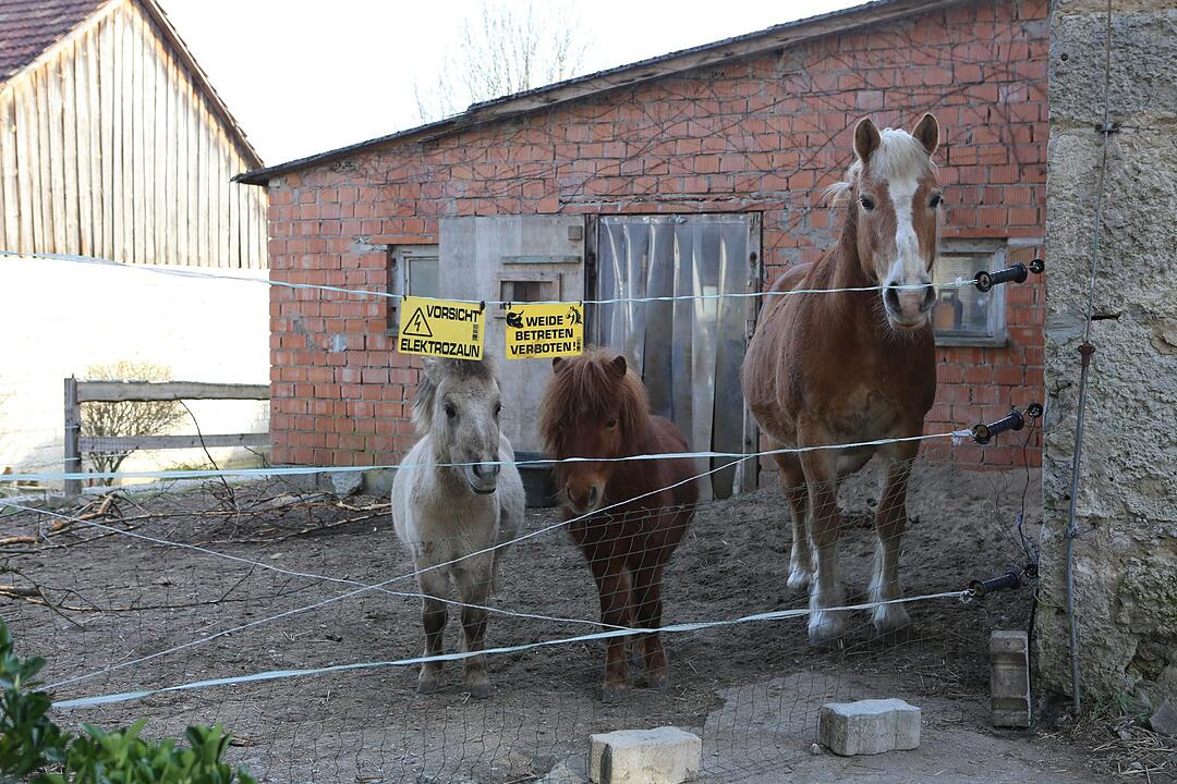 SoS Oberfellendorf im Lkr. Forchheim; Foto: Barbara Herbst