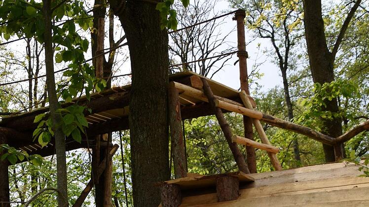 Der Aufstieg auf das Baumhaus vom Tellerrand Festival. Foto: Christoph Wiedemann