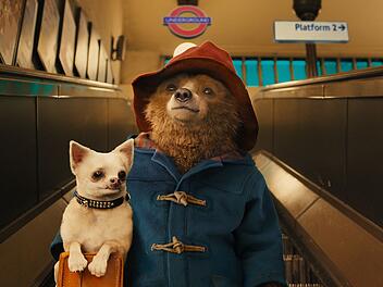 Das Schild "Auf der Rolltreppe m&uuml;ssen Hunde getragen werden" nimmt der Gro&szlig;stadtneuling Paddington sehr genau ...