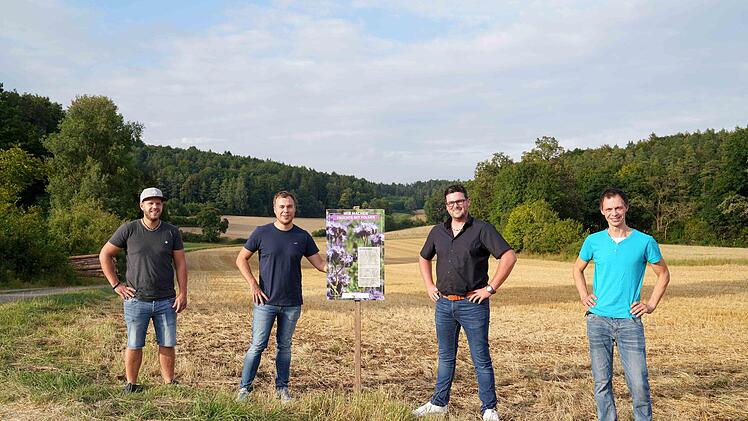 Heiko Kaiser, Tobias Weggel, Daniel Lang und Jürgen Bergmann (von links)  haben bei Sanspareil eine Infotafel aufgestellt. Foto: Adriane Lochner