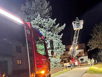 Buch bei Gremsdorf: Feuerwehr muss Katze von Baum retten