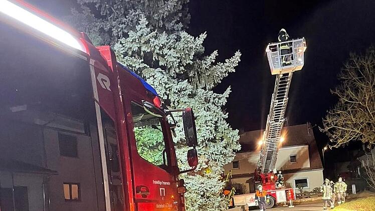 Buch bei Gremsdorf: Feuerwehr muss Katze von Baum retten