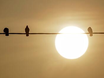 Saharastaub - tr&uuml;be Sonne am grauen Himmel