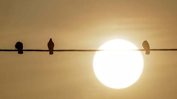 Saharastaub - tr&uuml;be Sonne am grauen Himmel