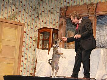 Buddy ist ein Tierheimhund, den Martin Semmelrogge privat bei sich aufgenommen hat. Der Schauspieler engagiert sich seit Jahren für Hunde auf Mallorca und Hunde in Tierheimen. Foto: Sonja Adam