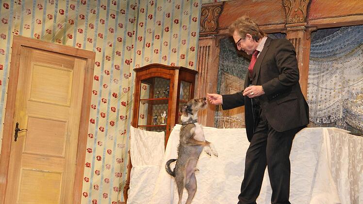 Buddy ist ein Tierheimhund, den Martin Semmelrogge privat bei sich aufgenommen hat. Der Schauspieler engagiert sich seit Jahren für Hunde auf Mallorca und Hunde in Tierheimen. Foto: Sonja Adam