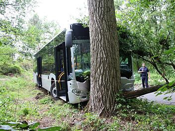 Frontal krachte am Dienstagvormittag  in einer Kurve auf dem Verkehrsübungsplatz in Siegritzau ein Bus gegen eine Eiche. Foto: Josef Hofbauer