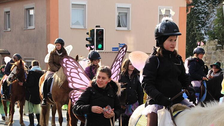 Der Faschingszug durch Höchstadt  - Foto: Andreas Dorsch