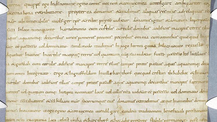Das Original der Urkunde mit der ersten Erwähnung Stegaurachs befindet sich im Trinity College der Universität Cambridge. Wie sie dorthin gelangte, wissen aber auch die Briten nicht. Foto: privat