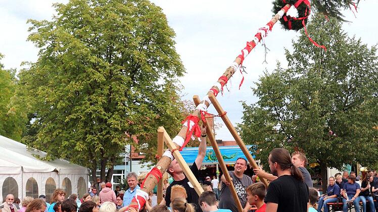 Früh übt sich: Die Kerwas-Kids stellen ihre Fichte auf.  Fotos: Johanna Blum