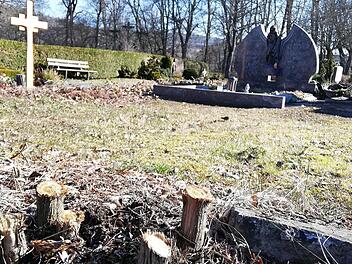 Handlungsbedarf besteht am Friedhof. So müssen die Wurzeln alter Thuja-Hecken aus dem Boden geholt werden. Foto: Heike Beudert