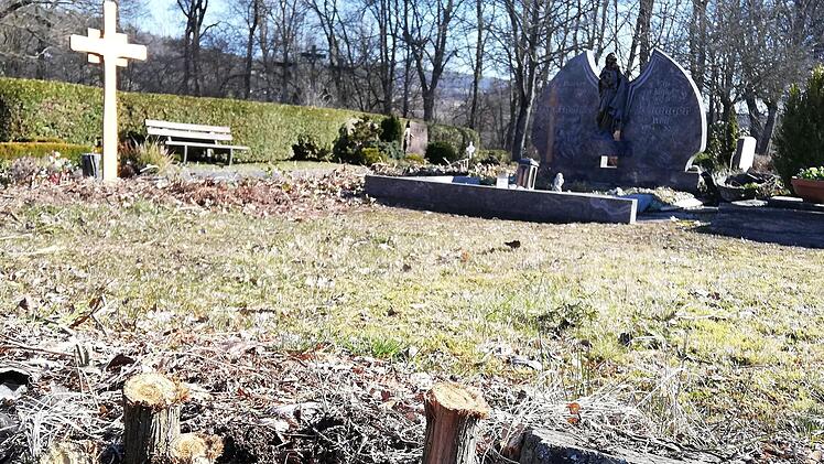 Handlungsbedarf besteht am Friedhof. So müssen die Wurzeln alter Thuja-Hecken aus dem Boden geholt werden. Foto: Heike Beudert