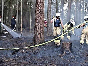 Ein Riesenaufgebot an Feuerwehren war bei einem Waldbrand zwischen Weidhausen und Neuensorg im Einsatz, wobei jeder half, wie er nur konnte.