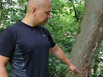 "Mir kann keiner erzählen, dass dieser Baum gesund ist", sagt Mesut Berberoglu. Für ihn müsste die Stadt hier einschreiten. Foto: Jochen Nützel