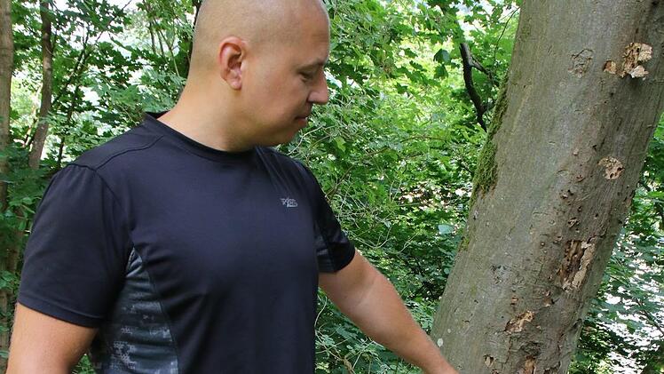 "Mir kann keiner erzählen, dass dieser Baum gesund ist", sagt Mesut Berberoglu. Für ihn müsste die Stadt hier einschreiten. Foto: Jochen Nützel