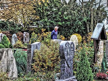 Der Friedhof in Münnerstadt soll saniert werden. Einigen Bürgern sind die vielen Büsche und Bäume im Weg, andere können gar nicht genug davon haben. In der Freiherr-von-Lutz-Mittelschule diskutierten interessierte Bürgerinnen und Bürger die Pläne der Stadt. Foto: Dieter Britz