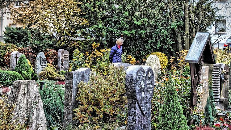 Der Friedhof in Münnerstadt soll saniert werden. Einigen Bürgern sind die vielen Büsche und Bäume im Weg, andere können gar nicht genug davon haben. In der Freiherr-von-Lutz-Mittelschule diskutierten interessierte Bürgerinnen und Bürger die Pläne der Stadt. Foto: Dieter Britz