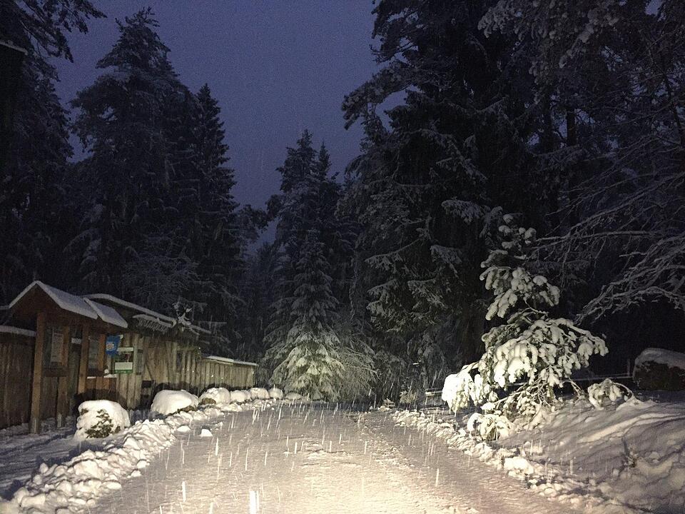 Schnee und Eis - Die schönsten Aufnahmen aus Franken