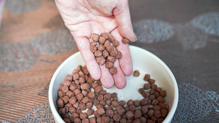 Optisch ist veganes Trockenfutter aus dem Handel kaum noch von normalem Hundefutter zu unterscheiden.