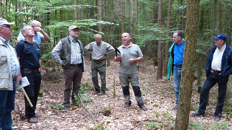 Zukunftsbäume erhalten grüne Punkte, erklärte Bernhard Schmitt (Mitte), während rote Punkte die Bäume kennzeichen, die entnommen werden sollen.  Foto: privat