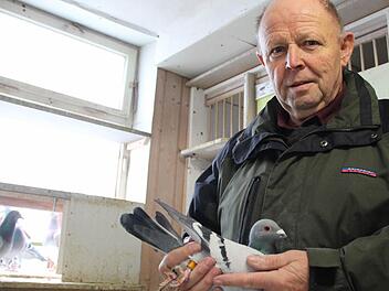 Siegfried Markert züchtet seit mehr als 50 Jahren Brieftauben in Hausen. Foto: Benedikt Borst