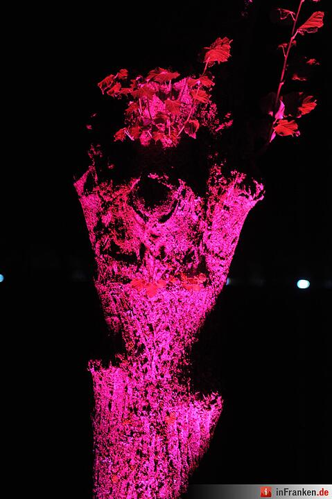 Impressionen der Museumsnacht Coburg