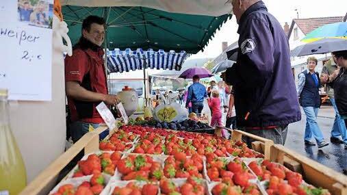 Frische Erdbeeren im Herbst. Foto: GerdSchaar
