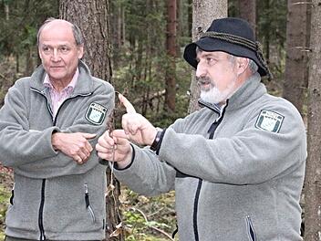 Die Förster Wolfgang Meiners und Jürgen Hahn (von links) erläuterten den Gemeinderäten, worauf es beim Aufbau eines gesunden Waldes ankommt. Foto: Helmut Will