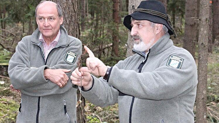 Die Förster Wolfgang Meiners und Jürgen Hahn (von links) erläuterten den Gemeinderäten, worauf es beim Aufbau eines gesunden Waldes ankommt. Foto: Helmut Will