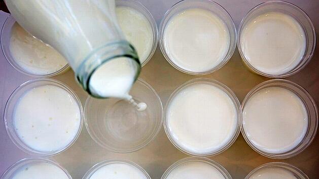 Milch fließt in bereitgestellte Becher. Kann sich die Milchwirtschaft höhere Gehälter leisten? An diesem Donnerstag soll es in der Branche Warnstreiks geben zum Auftakt der neuen Verhandlungsrunde. Foto: Michael Reichelt, dpa