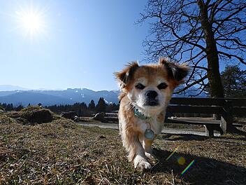 Wie wir das Wetter in der kommenden Woche? Laut Stefan Ochs wird es vor allem warm und sonnig.