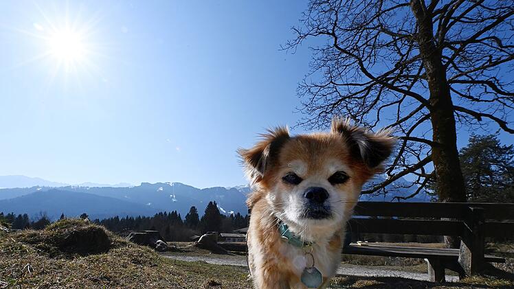 Wie wir das Wetter in der kommenden Woche? Laut Stefan Ochs wird es vor allem warm und sonnig.