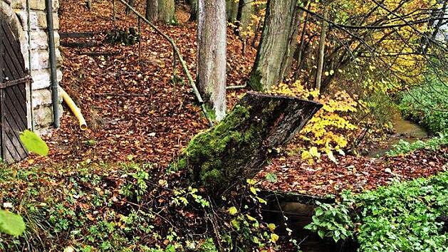 Nahe am ehemaligen Strätzn-Keller ist der Mühlbach romantisch. Bei größeren Regenereignissen ist es aber schon zu bösen Überschwemmungen gekommen. Foto: Günther Geiling