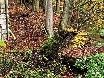 Nahe am ehemaligen Strätzn-Keller ist der Mühlbach romantisch. Bei größeren Regenereignissen ist es aber schon zu bösen Überschwemmungen gekommen. Foto: Günther Geiling