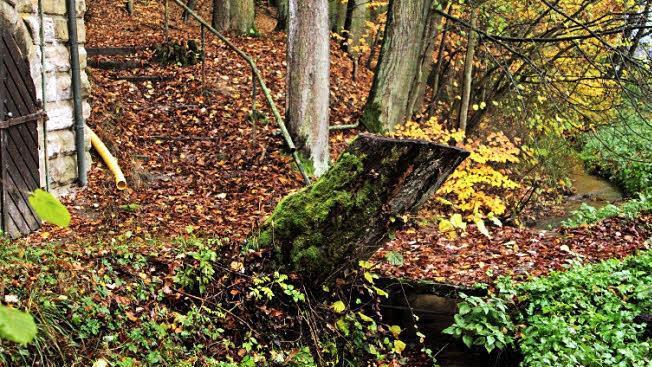 Nahe am ehemaligen Strätzn-Keller ist der Mühlbach romantisch. Bei größeren Regenereignissen ist es aber schon zu bösen Überschwemmungen gekommen. Foto: Günther Geiling