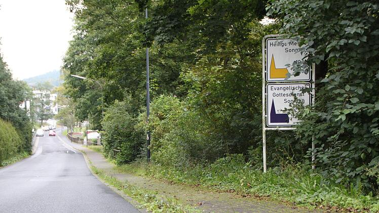 Das Grundstück gehört der Stadt Bad Brückenau - doch der Bauhof wusste das bisher nicht. Foto: Ulrike Müller