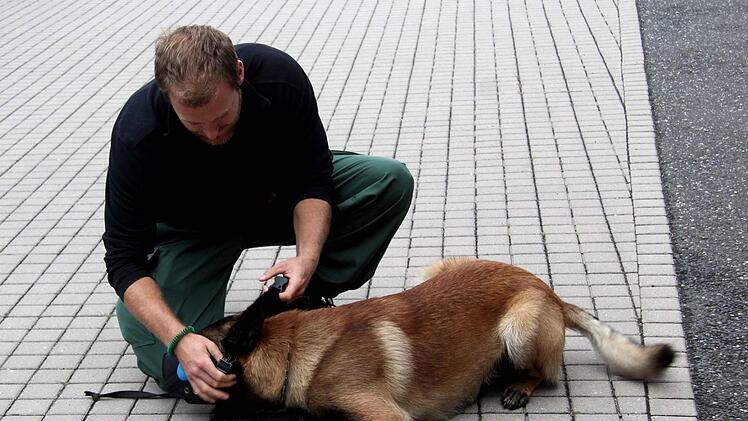 Die Hundeführer demonstrierten das Können ihrer Hunde. Foto: Richard Sänger