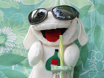Im Liegestuhl sommerlich entspannt beantwortet Hamfred Hammel alle Fragen.Foto: Arkadius Guzy