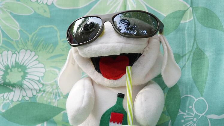 Im Liegestuhl sommerlich entspannt beantwortet Hamfred Hammel alle Fragen.Foto: Arkadius Guzy