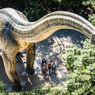 Dinosaurier Museum Altmühltal