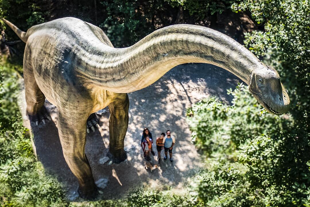 Dinosaurier Museum Altmühltal